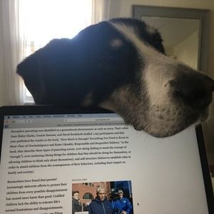 Meet your Posher, Catherine